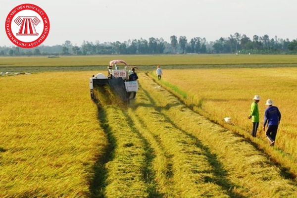 Pháp Luật Nhà Đất