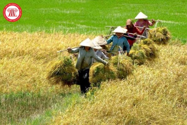 Hỏi đáp Pháp luật