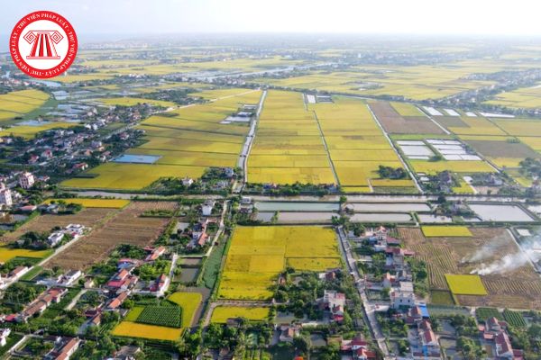 Pháp Luật Nhà Đất