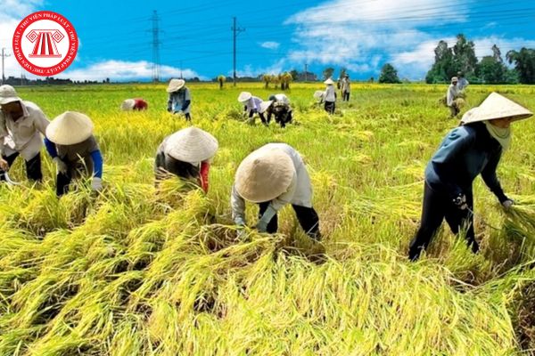 Pháp Luật Nhà Đất