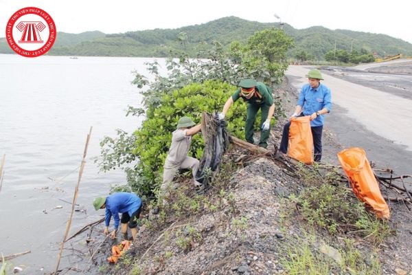 Hỏi đáp Pháp luật