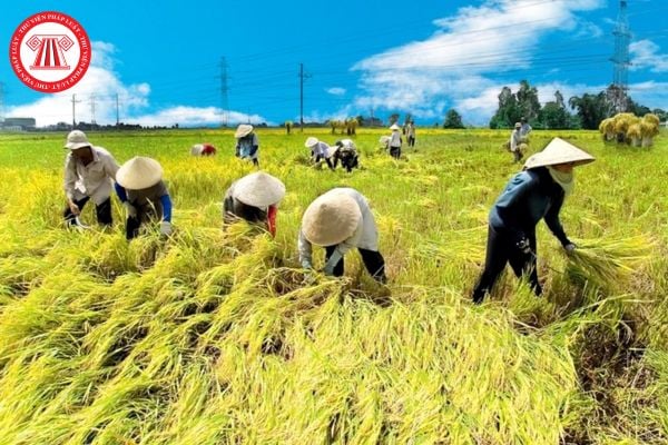 Hỏi đáp Pháp luật