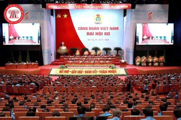 Pháp Luật Nhà Đất