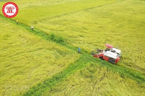 Hỏi đáp Pháp luật