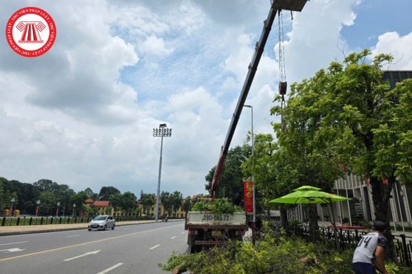 Pháp Luật Nhà Đất