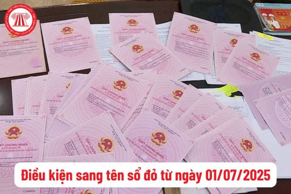 Hỏi đáp Pháp luật