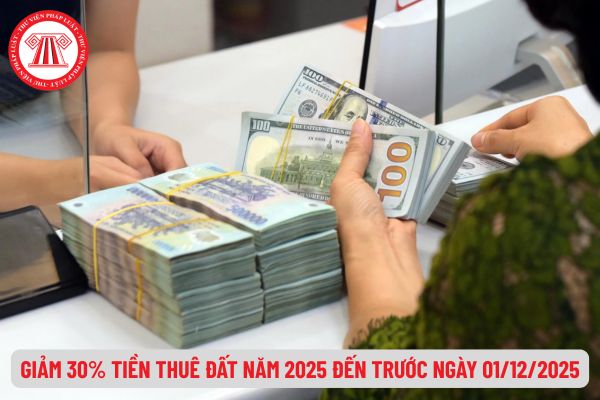 Pháp Luật Nhà Đất