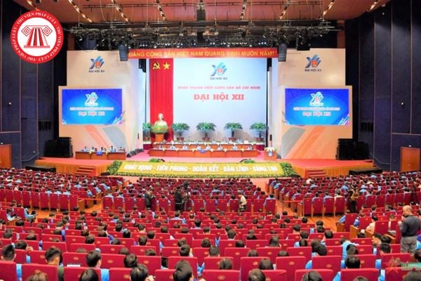 Pháp Luật Nhà Đất