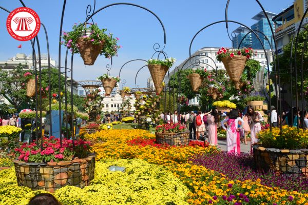 Pháp Luật Nhà Đất