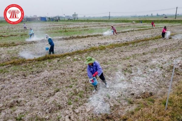 Pháp Luật Nhà Đất