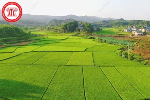 Pháp Luật Nhà Đất