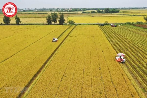 Hỏi đáp Pháp luật