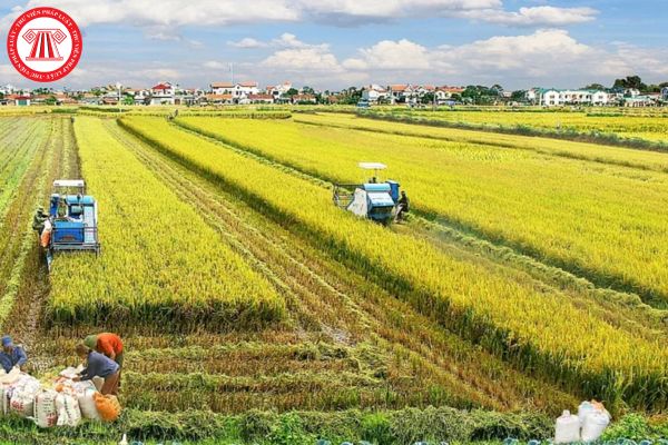 Hỏi đáp Pháp luật