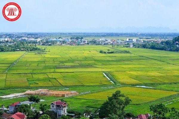 Hỏi đáp Pháp luật