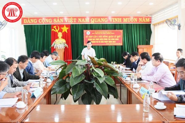 Pháp Luật Nhà Đất