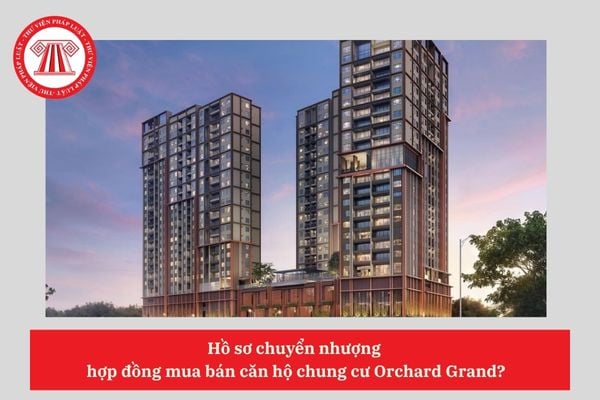Pháp Luật Nhà Đất