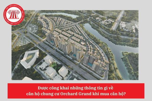 Được công khai những thông tin gì về  căn hộ chung cư Orchard Grand khi mua căn hộ?