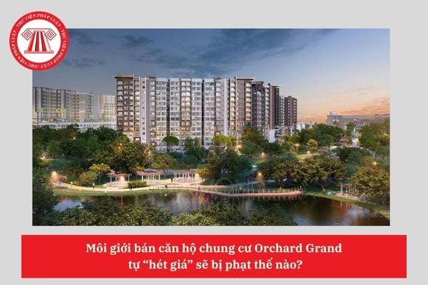 Môi giới bán căn hộ chung cư Orchard Grand  tự “hét giá” sẽ bị phạt thế nào?