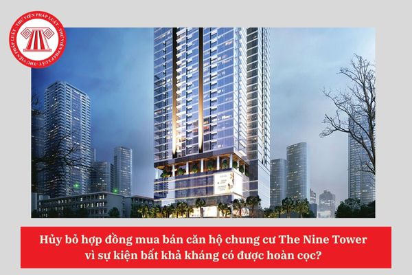 Pháp Luật Nhà Đất