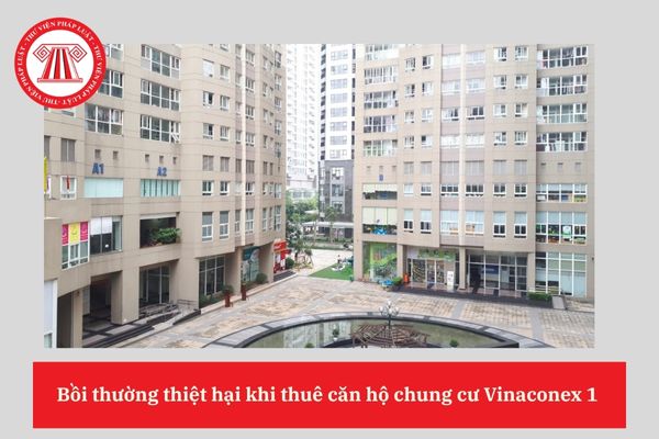 Người thuê căn hộ chung cư Vinaconex 1 có phải bồi thường khi trả căn hộ mà khung cửa sổ bị phai màu không?