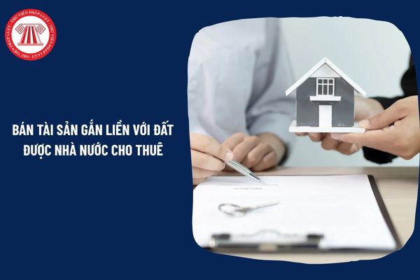 Pháp Luật Nhà Đất