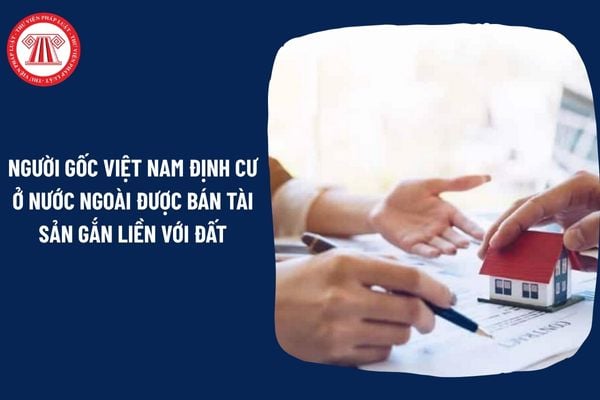 Pháp Luật Nhà Đất