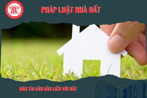 Pháp Luật Nhà Đất