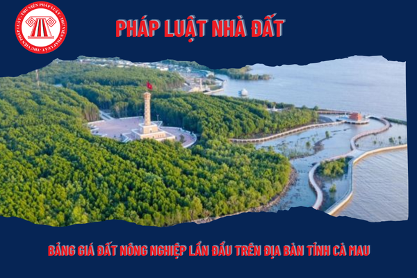 Pháp Luật Nhà Đất
