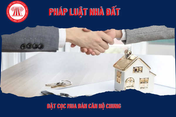 Pháp Luật Nhà Đất