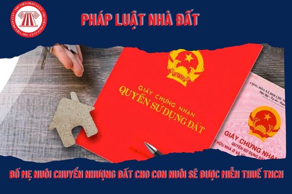 Pháp Luật Nhà Đất