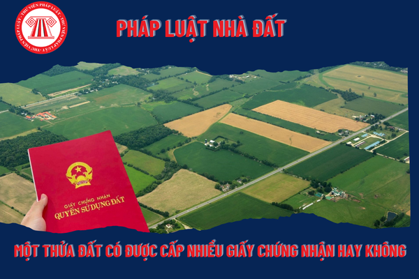 Pháp Luật Nhà Đất