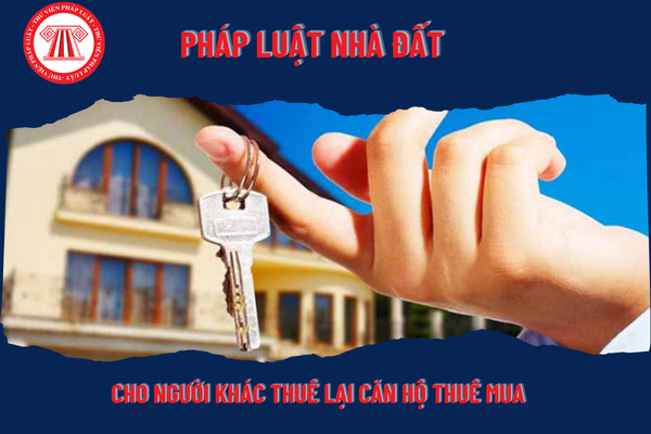 Pháp Luật Nhà Đất
