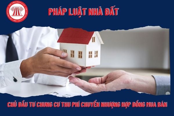 Pháp Luật Nhà Đất