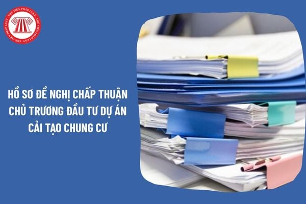 Hỏi đáp Pháp luật