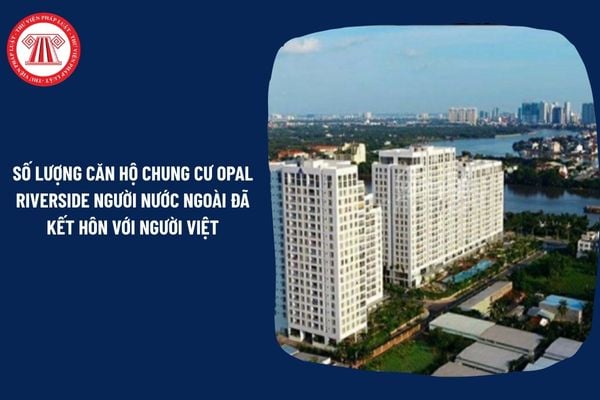 Pháp Luật Nhà Đất