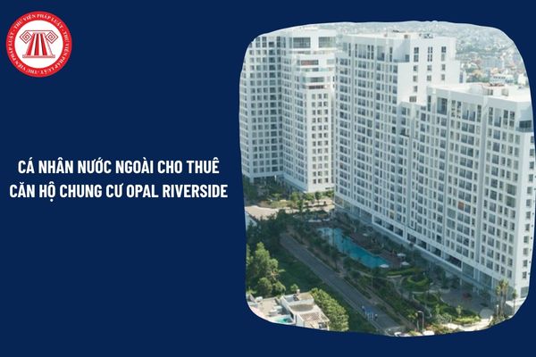 Pháp Luật Nhà Đất