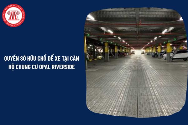 Pháp Luật Nhà Đất
