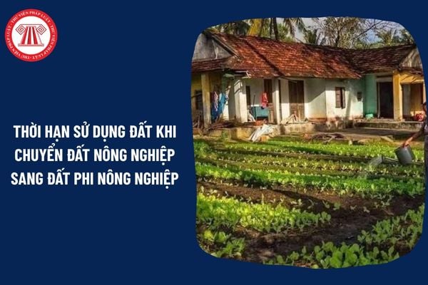 Pháp Luật Nhà Đất