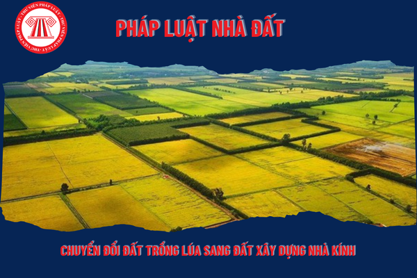 Có được chuyển đổi đất trồng lúa sang đất xây dựng nhà kính không?