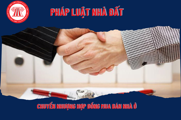 Pháp Luật Nhà Đất