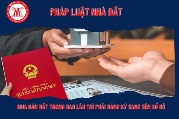 Pháp Luật Nhà Đất