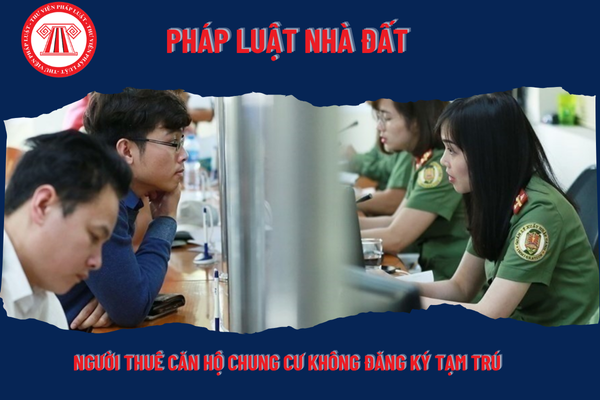 Pháp Luật Nhà Đất