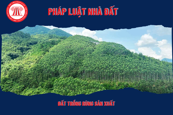 Pháp Luật Nhà Đất