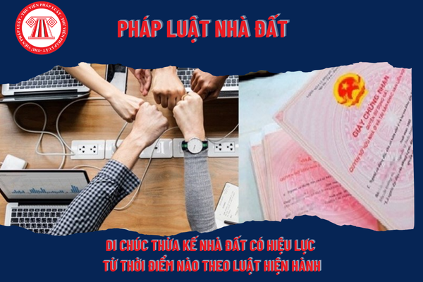 Pháp Luật Nhà Đất
