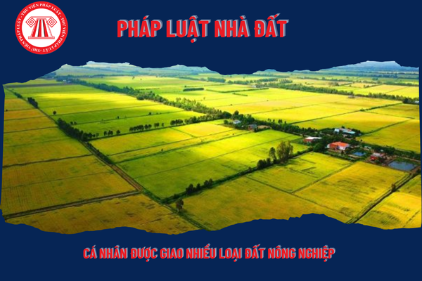 Pháp Luật Nhà Đất
