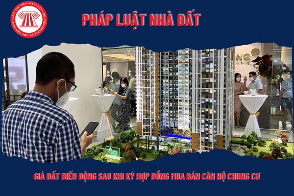 Pháp Luật Nhà Đất