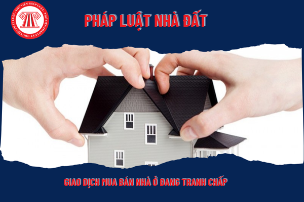 Pháp Luật Nhà Đất