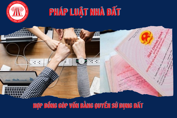 Pháp Luật Nhà Đất