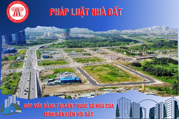 Pháp Luật Nhà Đất