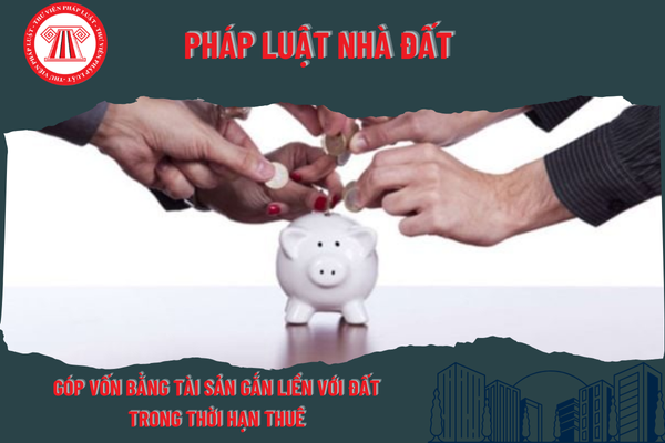 Pháp Luật Nhà Đất